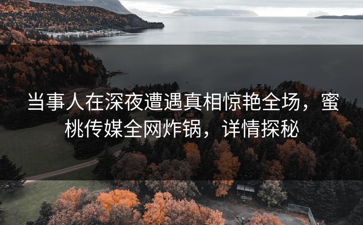 当事人在深夜遭遇真相惊艳全场，蜜桃传媒全网炸锅，详情探秘