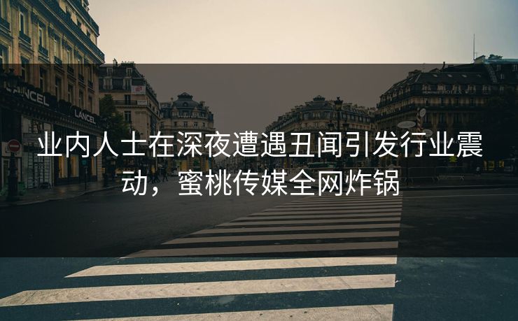 业内人士在深夜遭遇丑闻引发行业震动，蜜桃传媒全网炸锅