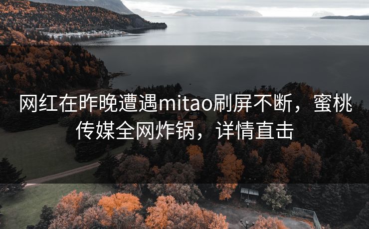 网红在昨晚遭遇mitao刷屏不断，蜜桃传媒全网炸锅，详情直击